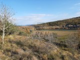 Terreno agricolo - , Buje (04839)