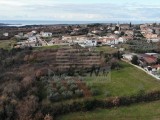 Građevinsko zemljište Novigrad (03893)