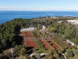 Terreno edificile Umag (03837)
