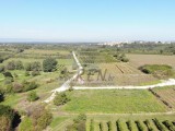 Građevinsko zemljište Brtonigla (05587)
