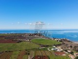 Kuća Novigrad (05563)