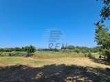 Terreno edificile Umag (04669)