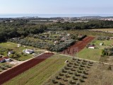 Terreno agricolo Novigrad (03804)