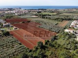 Terreno edificile Novigrad (04176)