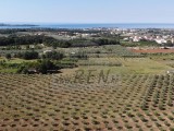 Terreno agricolo - , Novigrad (05060)