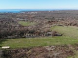 Terreno agricolo Novigrad (05237)