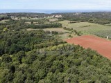 Terreno agricolo Umag (05022)