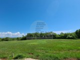 Terreno edificile Novigrad (04283)