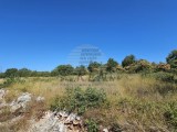 Terreno edificile Buje (05738)