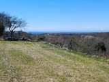 Terreno edificile Buje (05286)