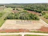 Terreno agricolo Brtonigla (05690)
