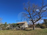 Istarska kuća Buje (05229)