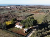 Casa Novigrad (05749)