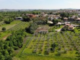 Casa Brtonigla (04934)