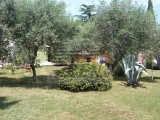 Istarska kuća - , Brtonigla (03406)
