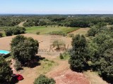 Terreno edificile Novigrad (05227)