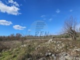 Građevinsko zemljište Umag (05488)