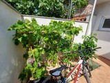 Casa - , Medulin (04674)