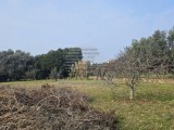 Građevinsko zemljište Umag (05485)