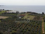Terreno edificile - , Umag (04899)