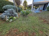 Appartamento - , Novigrad (05071)